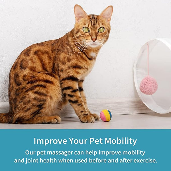 Petnoot™-Electric Pet Massager