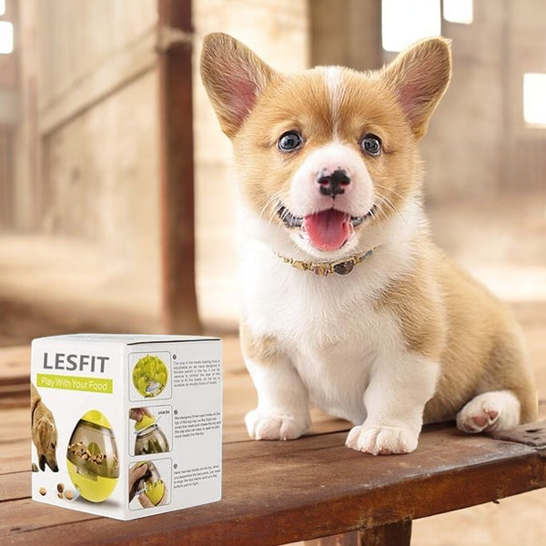 Petnoot™-Pets IQ Treat Toys