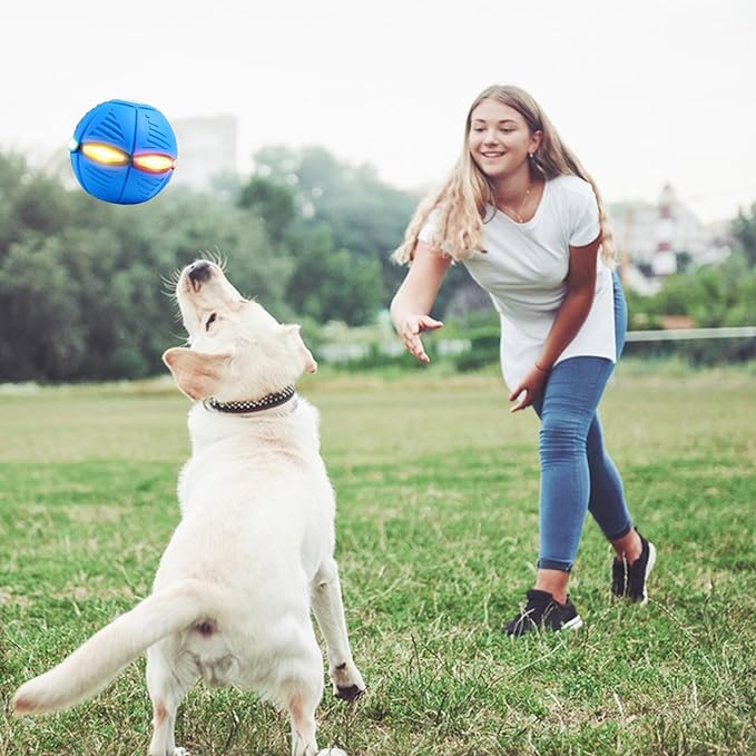 Petnoot™-Pets Magic UFO Ball