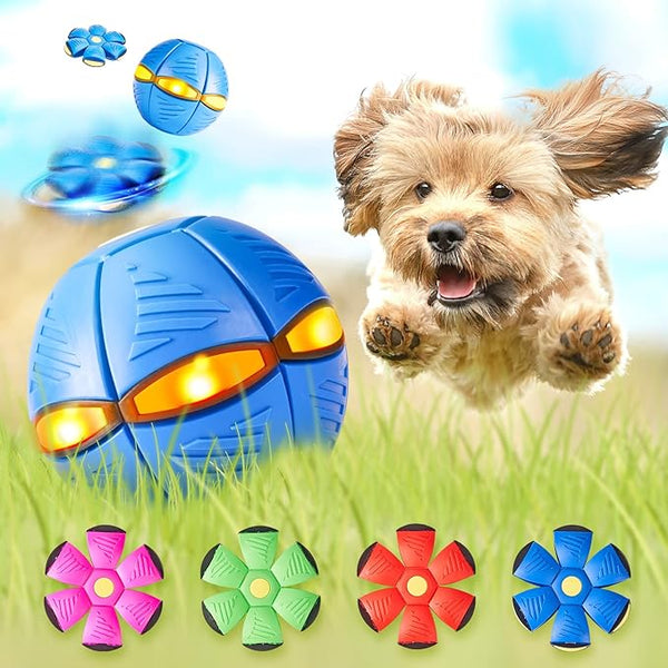 Petnoot™-Pets Magic UFO Ball
